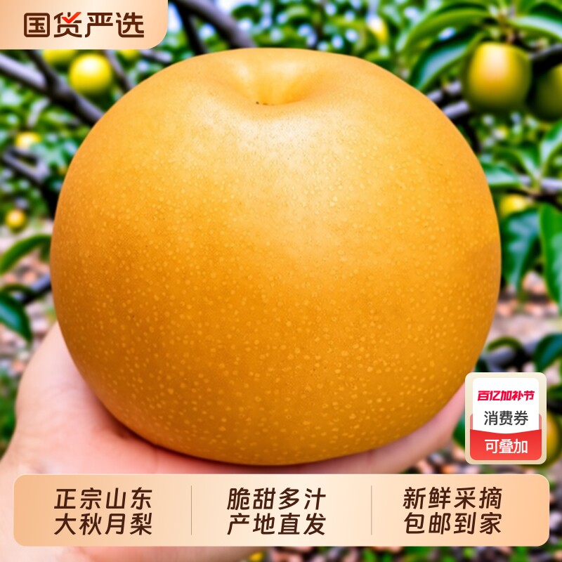 正宗山东烟台莱阳秋月梨新鲜水果冰糖雪梨子整箱10斤产地年货节