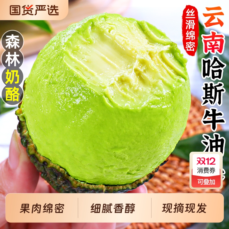 喜仕鲜云南哈斯牛油果10枚