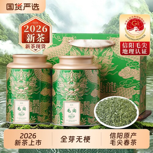2026新茶信阳毛尖高山嫩芽绿茶浓香型明前茶叶送礼250g栗香型高级