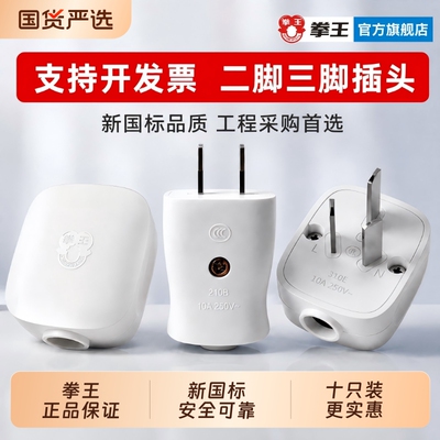 拳王二脚三脚插头10A两孔三孔