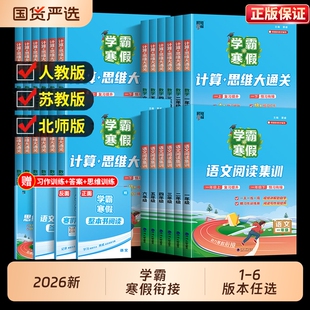 2026春学霸寒假衔接作业一年级二年级三四五六下册上册人教版苏教语文阅读小学数学计算题思维大通关练习册预习暑假假期训练集训