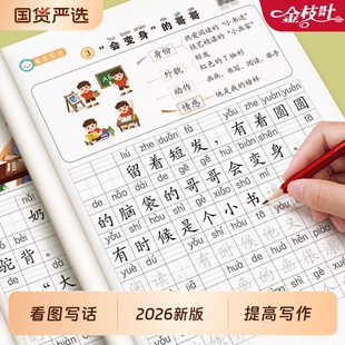 看图写话一年级二年级上册下册语文同步人教版小学生阅读理解专项训练书暑假衔接一升二看图说话每日一练练习册看图练习楷书画画
