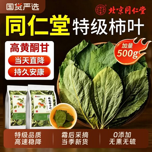 同仁堂特级霜后柿子叶250大克重