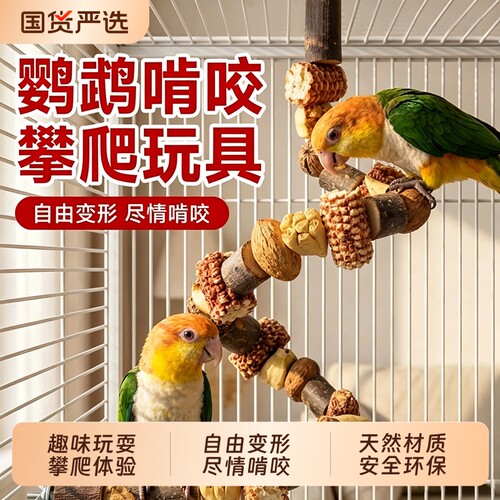 【鹦鹉站杆】天然干果趣味玩耍