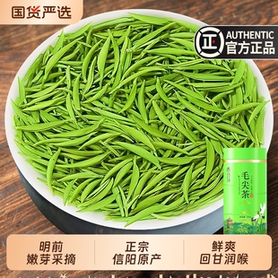 2026新茶毛尖茶叶信阳绿茶明前特级嫩芽浓香型散装毛尖茶炒青上等