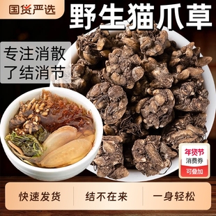 正品水洗猫爪草官方旗舰店中药材猫抓草猫瓜草猫爪茶搭夏枯草郁金