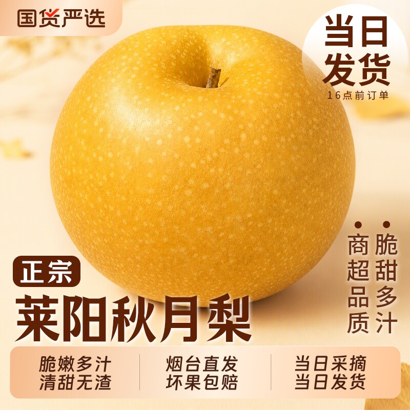 正宗莱阳秋月梨山东现摘现发水果新鲜当季冰糖雪梨子大果产地直发