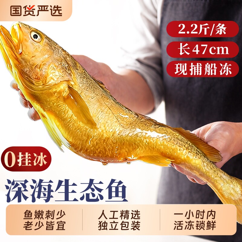 黄花鱼新鲜冷冻特大黄鱼深海鱼鲜活生鲜水产小黄鱼黄鱼鲞鱼类商用