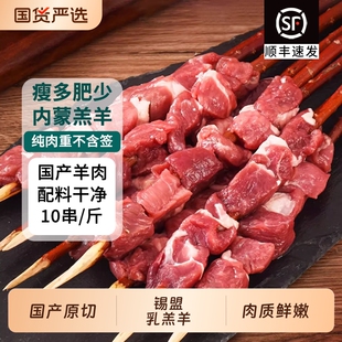 红柳枝羊肉串半成品新鲜内蒙烧烤肉烤牛肉串空气炸锅烧烤食材原切