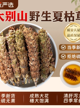 野生夏枯草中药材正品新货草本白毛夏枯球蒲公英清热散结茶泡水喝