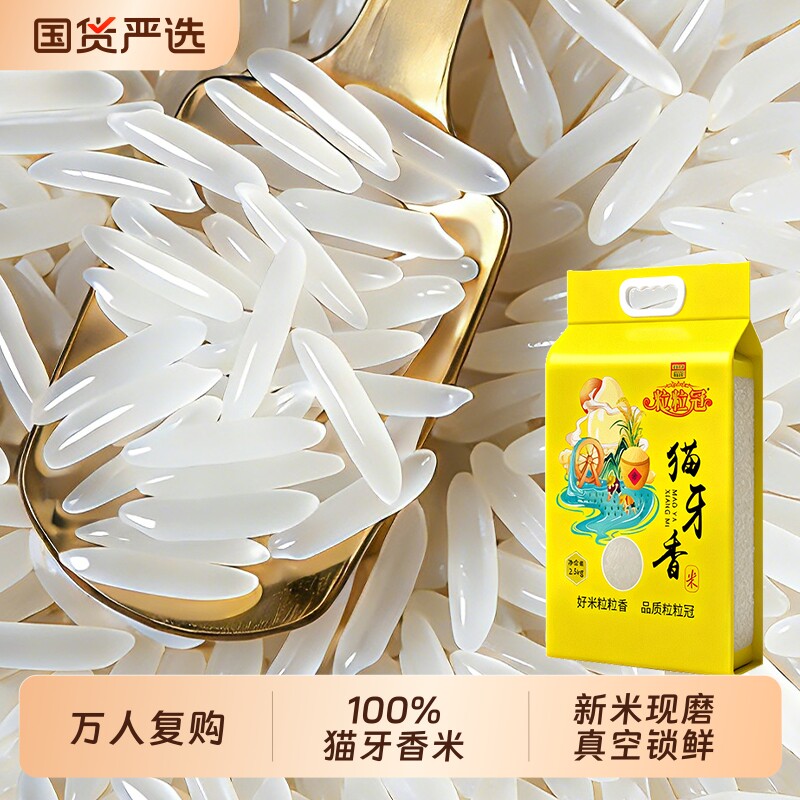 猫牙米长粒香米当季新米广西香米丝苗米真空10斤一级大米源头粒粒
