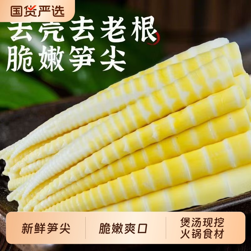 清水笋下饭菜非糯米笋非干货嫩笋尖竹笋新鲜新鲜野笋尖新鲜野笋尖
