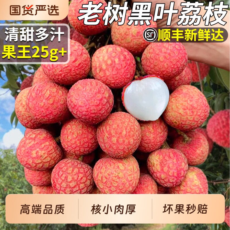 顺丰正宗福建黑叶荔枝当季现摘老树大果新鲜水果整箱桂妃子味笑
