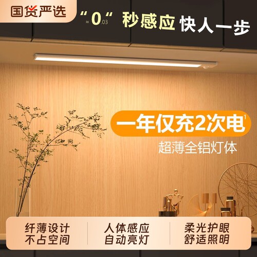 【闪电发货】充电磁吸人体感应灯