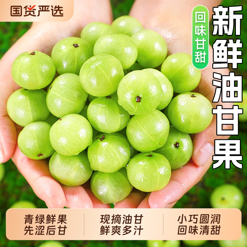 新鲜油甘果5斤当季现摘整箱包邮图片