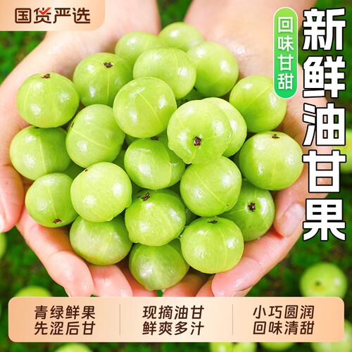 新鲜油甘果5斤当季现摘整箱包邮