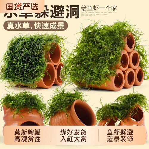 莫斯陶罐水草鱼缸造景鱼虾躲避屋