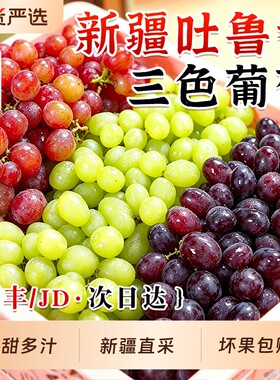 新疆葡萄吐鲁番三色葡萄新鲜当季礼盒无核白无核籽玻璃翠葡萄整箱
