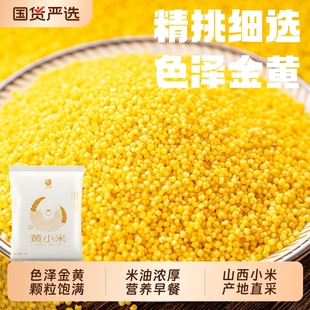 晋丰康黄小米1kg农家自产粗杂粮粥现磨新糯养胃米油浓厚山西特产