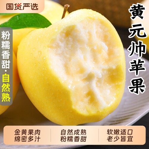 大连黄元帅苹果新鲜水果粉糯香甜