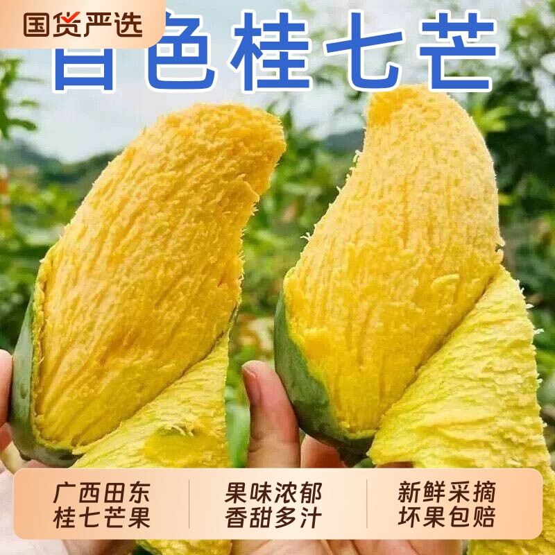 正宗广西百色田东桂七芒果新鲜热带水果当季现摘青皮香芒果香甜 - 实物图