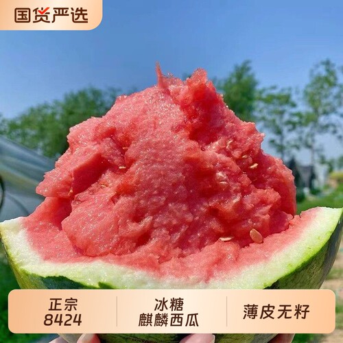 正宗8424冰糖西瓜|超1000次加购
