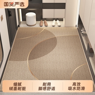 入户门地垫耐脏门垫家用玄关2025新款 脚垫室内防滑地毯高级氛围