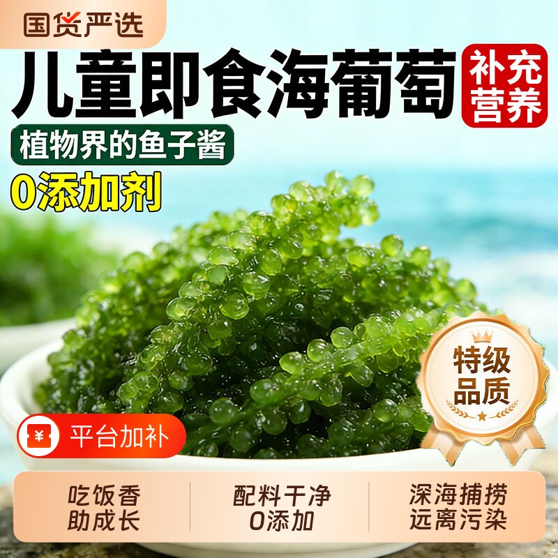 儿童海葡萄即食新鲜盐渍鱼子酱孩搭海带草丝海藻裙带菜官方旗舰店