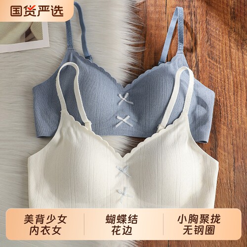 美背少女内衣女2026新款小胸聚拢防下垂吊带文胸固定收副乳白色