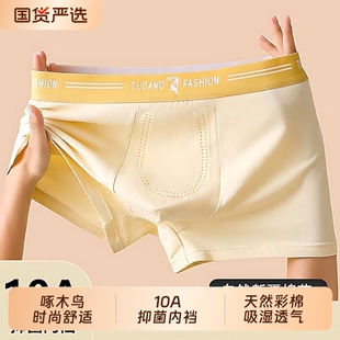 透气抑菌平角内裤 啄木鸟男士 四角裤 彩棉纯棉无染色负离子男款 内裤