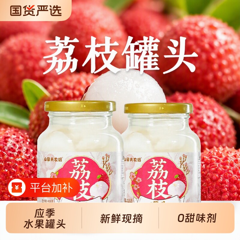 荔枝罐头418g*2罐水果罐头去核黄桃新鲜大罐菠萝杨梅农场山田鲜