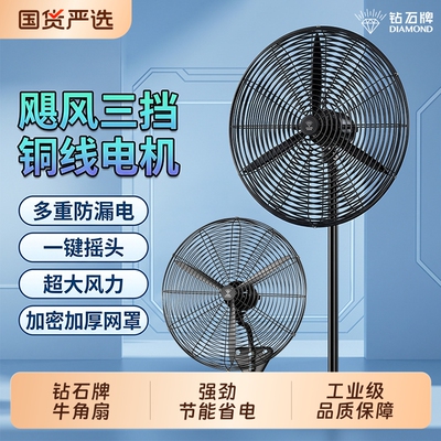 钻石牌强力除甲醛落地扇