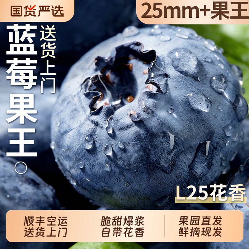 蓝莓新鲜水果顺丰大果当季蓝梅鲜果现摘L25花香高山孕妇整箱包邮