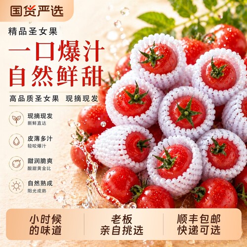 圣女果正宗山东千禧果小番茄水果小西红柿小蕃茄蔬菜整箱顺丰包邮
