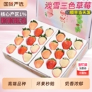 包邮 顺丰淡雪三色草莓新鲜水果当季 粉玉白雪孕妇儿童甜水果甜整箱