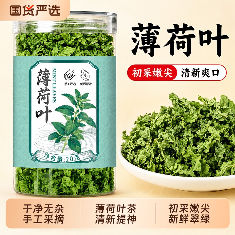 薄荷叶手工采摘日常泡水喝花草茶图片