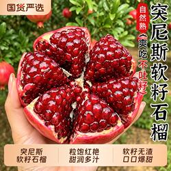 突尼斯软籽石榴新鲜水果当季整箱包邮四川会理石榴大果无籽现摘