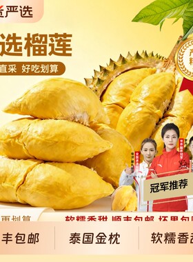泰国金枕榴莲肉进口树熟冷冻榴莲肉A新鲜顺丰包邮900g/2斤水果肉