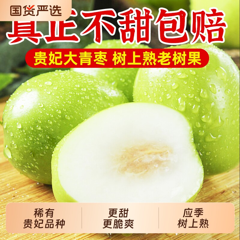 福建贵妃牛奶枣大青枣当季新鲜水果现摘苹果大枣整箱包邮冬枣应季