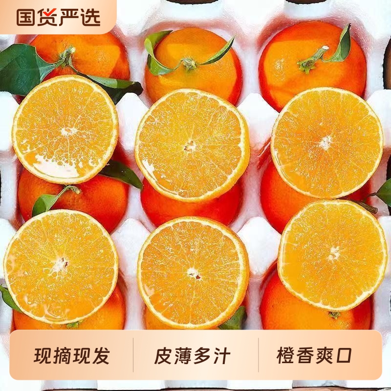 四川爱媛果冻橙38号新鲜橙水果橘桔子冰糖子橙装橙子现摘纯甜多汁
