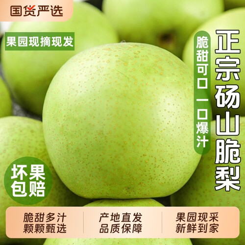 【砀山翠冠梨9斤装】脆甜多汁