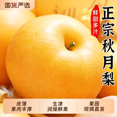 秋月梨甜脆整箱|128人收藏