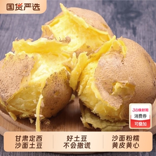 定西沙面大土豆新鲜当季蔬菜现挖马铃薯黄心洋芋甘肃高原9斤黄皮