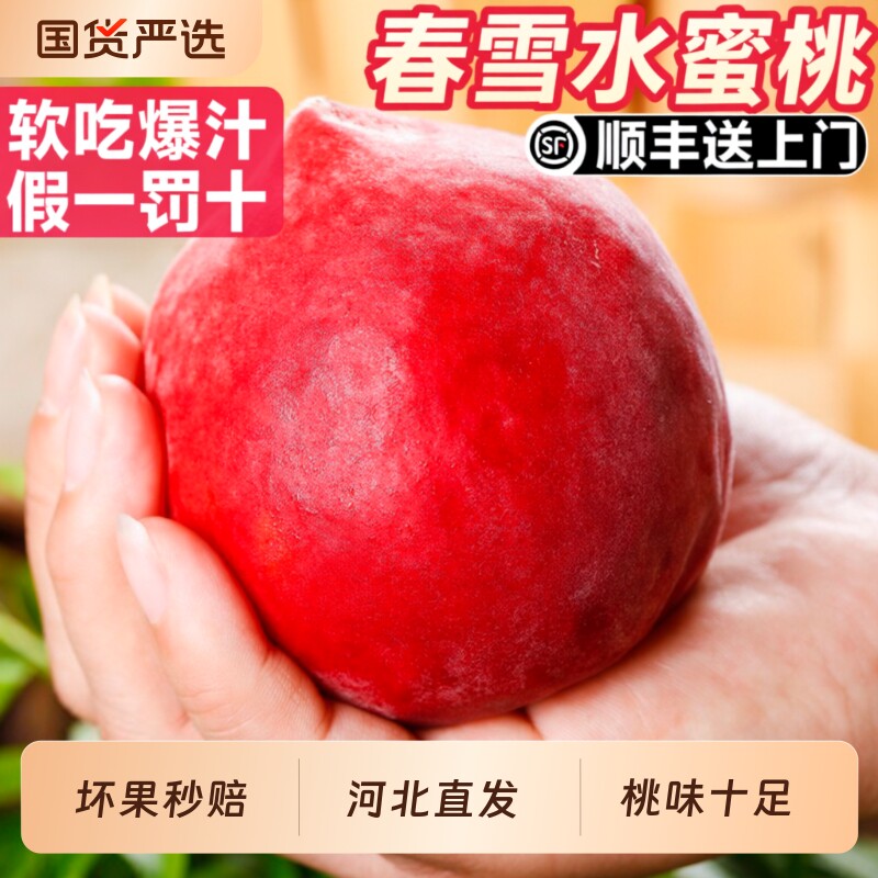 正宗春雪水蜜桃应当季新鲜水果现摘大果脆甜冬毛桃子整箱顺丰包邮