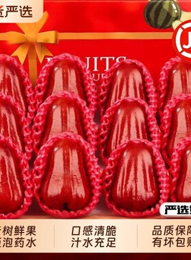 黑金刚莲雾【国货严选】精选鲜果