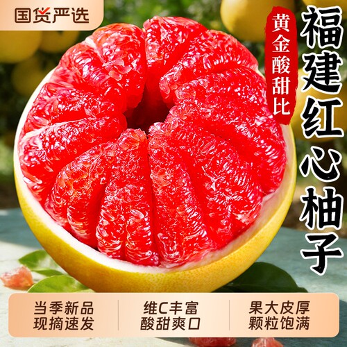 当季福建红心蜜柚|黄金酸甜比