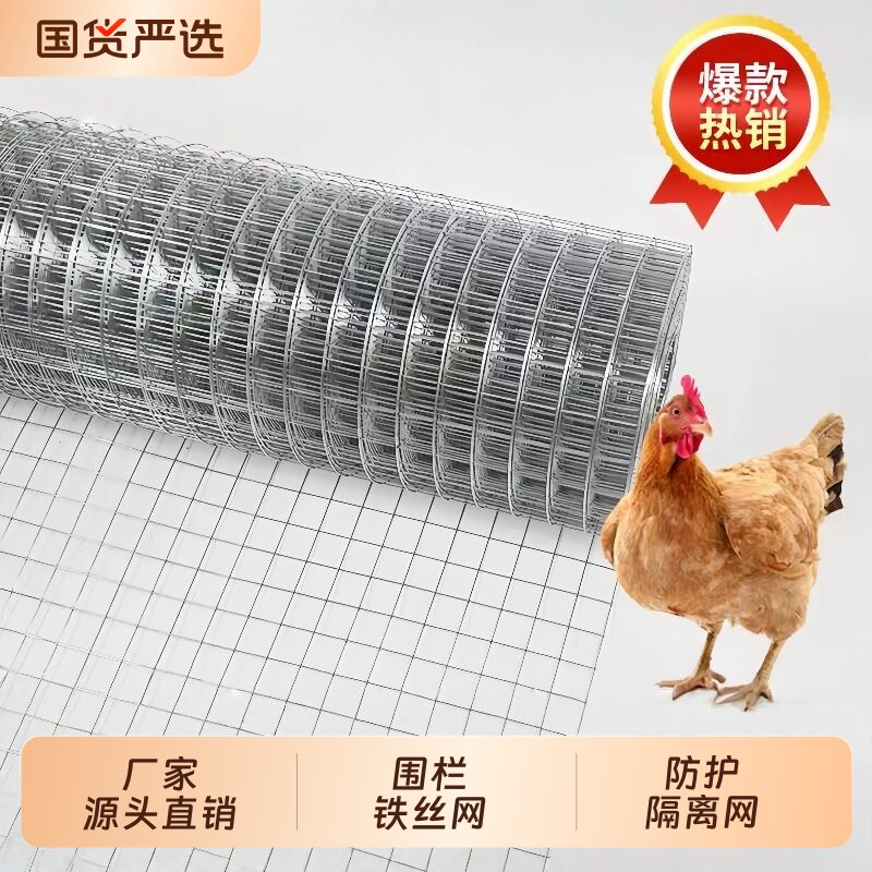 镀锌钢丝网围栏防鸟防鼠图片