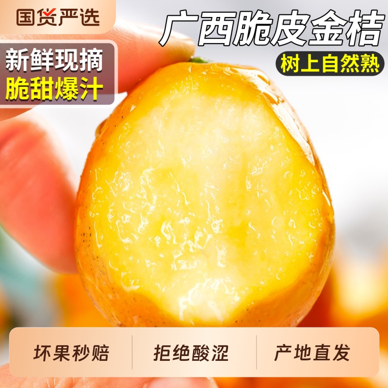 脆甜爆汁广西脆皮金桔9斤礼