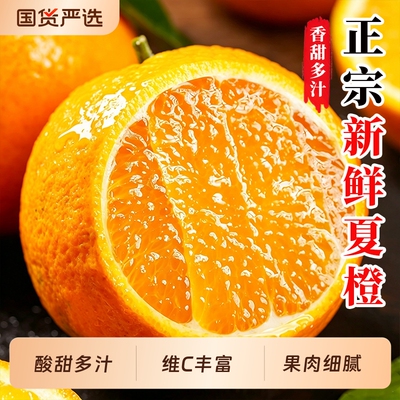 正宗夏橙秭归脐橙伦晚橙酸甜多汁
