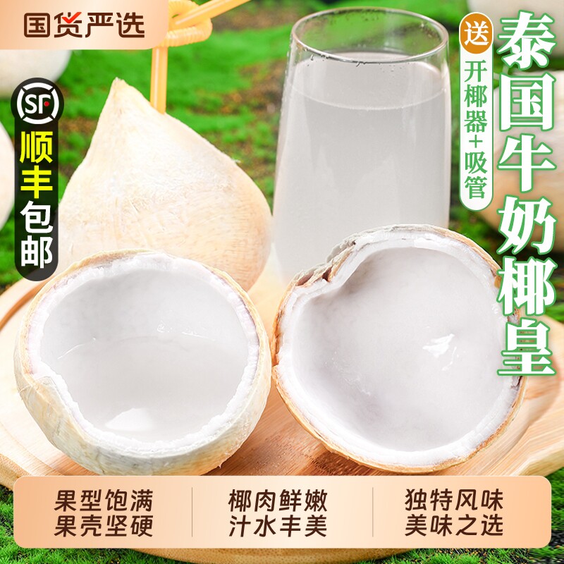 泰国进口小奶椰皇煲鸡汤香水老椰子孕妇当季时令新鲜水果整箱包邮